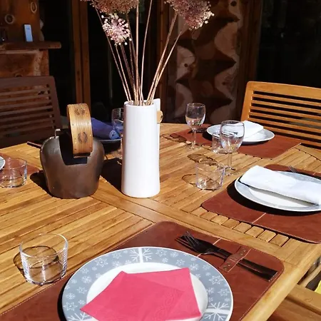 De Montagne 10 Voyageurs Pres De Font-romeu 1600m Holiday home